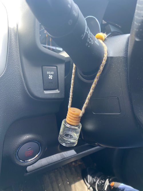 Black Raspberry Vanilla Car Diffuser