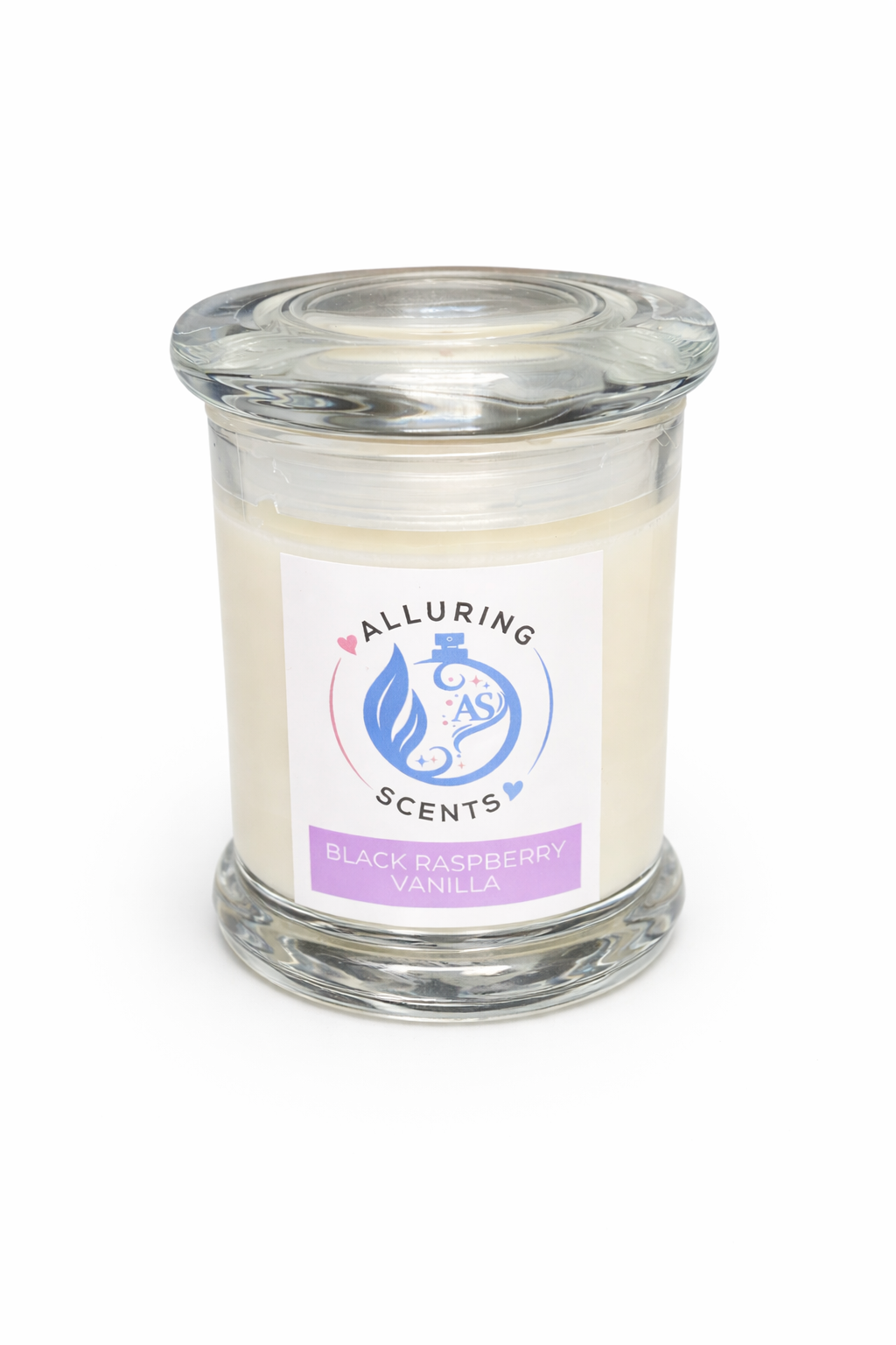 Black Raspberry Vanilla Soy Candle - Medium