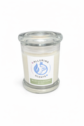 Blue Mountains Bush Soy Candle - Large