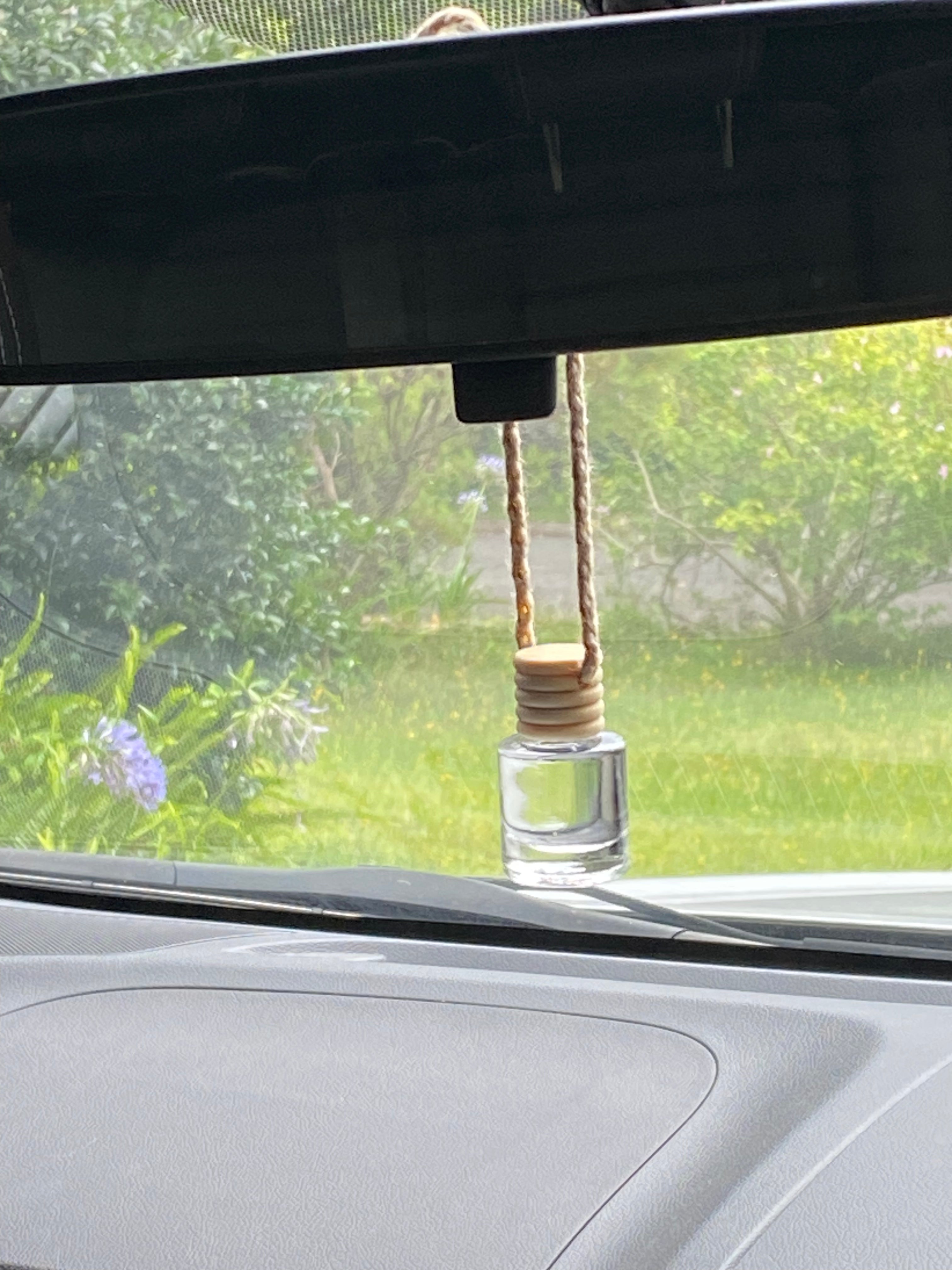 Black Raspberry Vanilla Car Diffuser