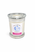 Japanese Honeysuckle Soy Candle - Large