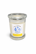 Mango Sorbet Soy Candle - Medium